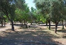 Parcelas camping Standard