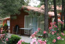 Bungalow en madera Victoria