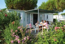 Chalets Confort 4