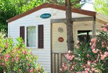 Chalets Cottage Pacifique