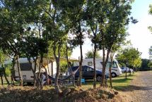 Parcelas camping Troncos