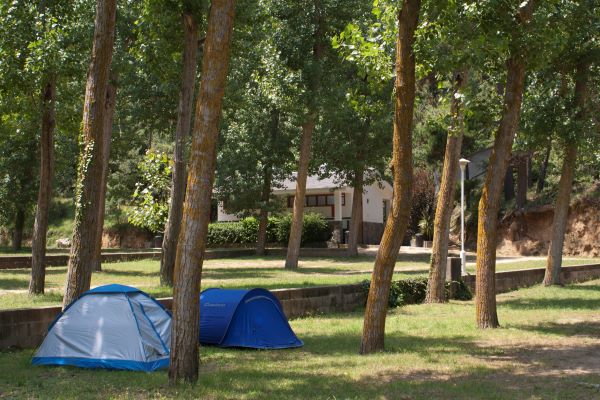 /campings/espana/catalunya-cataluna/barcelona/barcelona-interior/ElVedado/camping-02.JPG