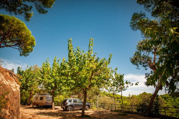 /campings/espana/catalunya-cataluna/barcelona/costa-de-barcelona-norte/RocaGrossa/120161766-3337822152949980-3770897984954608997-o.jpg