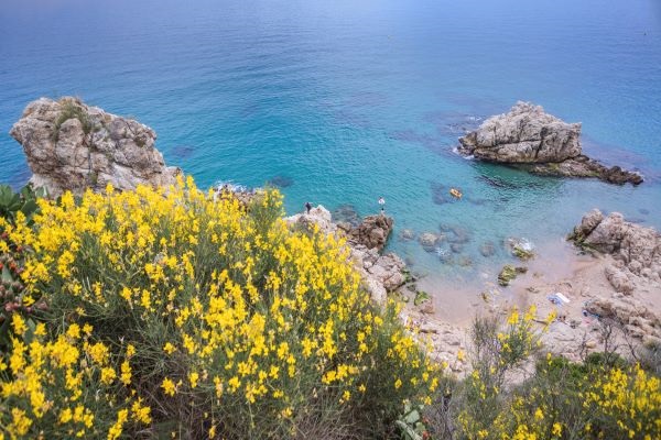/campings/espana/catalunya-cataluna/barcelona/costa-de-barcelona-norte/RocaGrossa/o5a1062.jpg