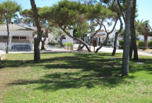 Parcelas camping Standard