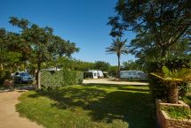 Parcelas camping tipo A plus