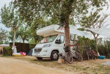 Parcelas camping tipo C
