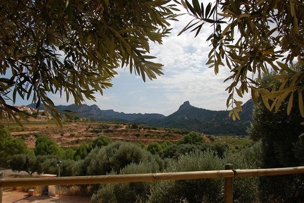 campings/espana/catalunya-cataluna/tarragona/tarragona-interior/camping-terra-alta-1483474343-xl.jpg