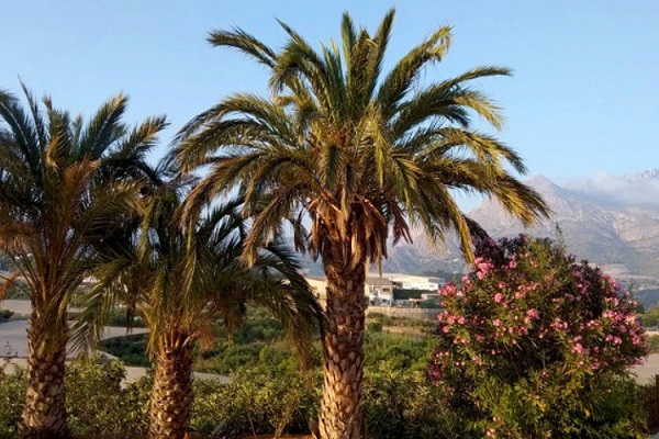 Camping Fonts de l'Algar, Callosa d'en Sarria (Valencia)