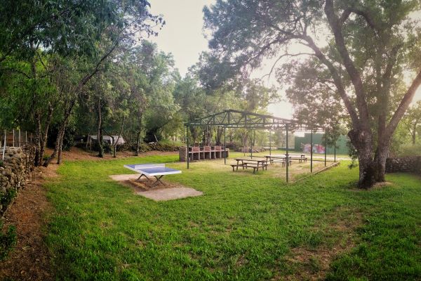 campings/espana/extremadura/caceres/ElPinajarro/el-pinajarro2.jpeg