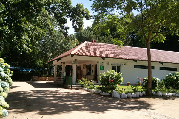 Jaranda, Jarandilla de la Vera (Cáceres)