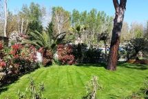 Parcelas camping Standard
