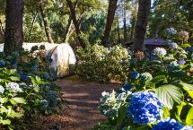 Parcelas camping Standard