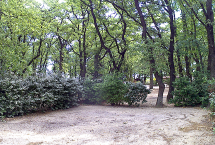 Parcelas camping Standard