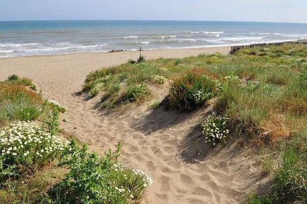 /campings/francia/languedoc-rosellon/herault/LesCigales/camping-les-cigales-vias-1483316471-xl.jpg