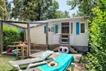 Mobil Homes Classic