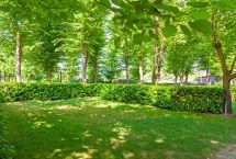 Parcelas camping Standard