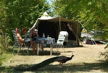 Parcelas camping Classique