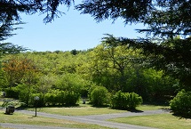 Parcelas camping Standard