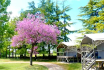 Cabañas pilotis
