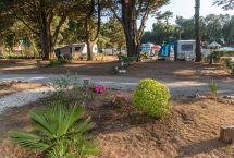 Parcelas camping Standard