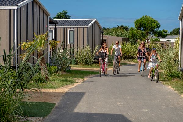 campings/francia/paises-del-loira/loira-atlantico/LesBrillas/alle-vlo.jpg