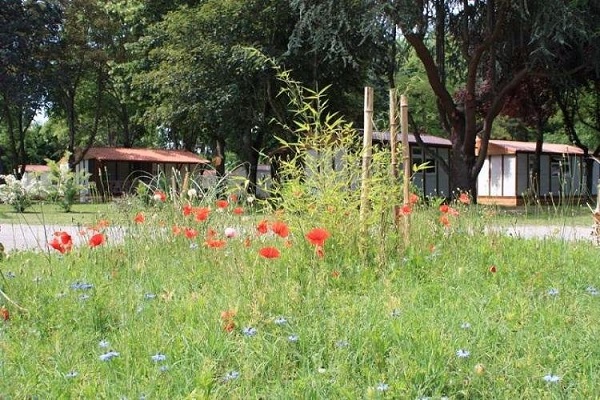 campings/francia/pirineos-centrales/camping-l-apamee-1483308398-xl.jpg