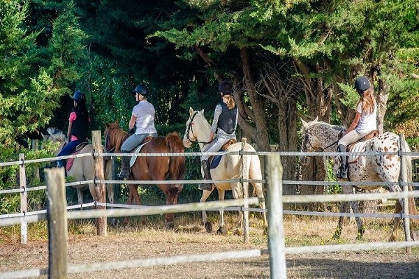 /campings/francia/poitou-charentes/charente-maritima/Oléron/camping-oleron-1482969887-xl.jpg