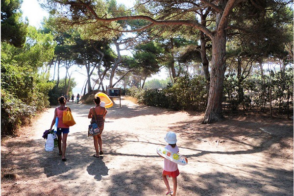 /campings/francia/provenza-alpes-costa-azul/var/LeMditerraneHyeres/camping-mediterranee-hyere-1548943690-xl.jpg