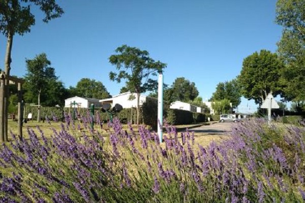 /campings/francia/provenza-alpes-costa-azul/vaucluse/LaDurance/img-20200623-084346.jpg