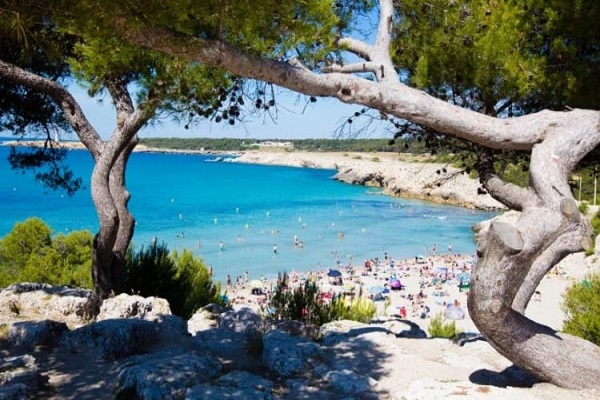 /campings/francia/provenza-y-camarga/Pascalounet/camping-pascalounet-1544705560-xl.jpg