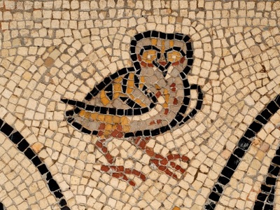 Villa romana y museo de Vesunna