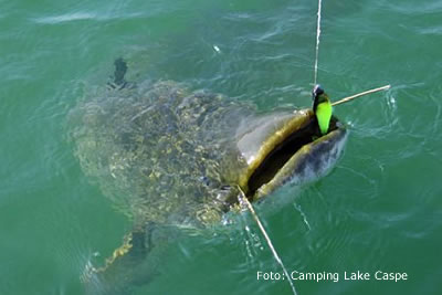 La pesca en el Mar de Aragón