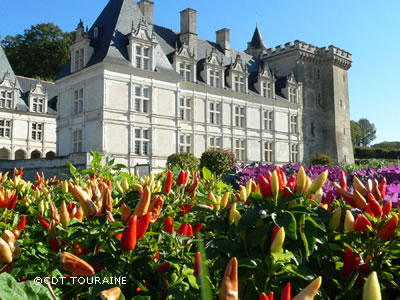 Castillo de Villandry
