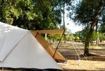 Parcelas camping Standard