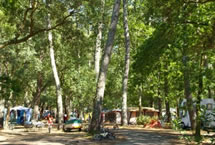 Parcelas camping Standard