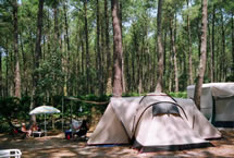 Parcelas camping Standard