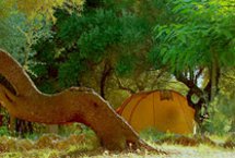 Parcelas camping Standard