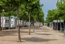 Parcelas camping Confort