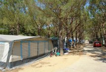 Parcelas camping Standard