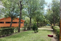 Parcelas camping Master