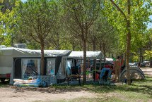 Parcelas camping Confort