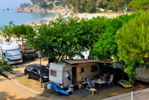 Parcelas camping Standard