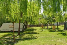 Parcelas camping Standard